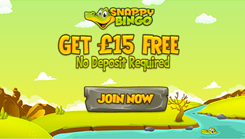 Snappy Bingo Snappy Bingo