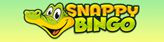 Snappy Bingo